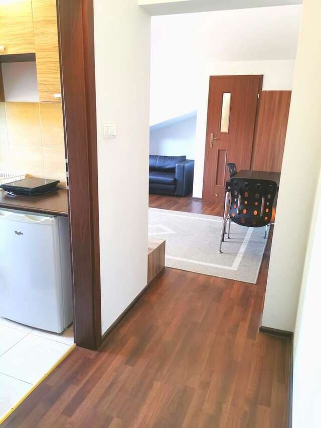 Апартаменты Apartamenty Dolna Kraków Краков-23