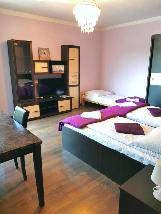 Апартаменты Apartamenty Dolna Kraków Краков-37